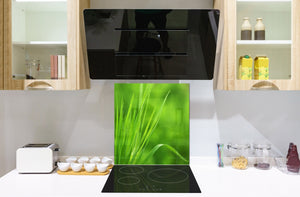 Rückwand aus gehärtetem Glas für Kochfeld – Glasauftankung – Rückwand für Küchenspüle BS17 Serie grünes Gras und Getreide: Leaf Green 7