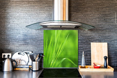 Kitchen & Bathroom splashback BS17 Green grass and cereals Series Grass Leaf Green 7