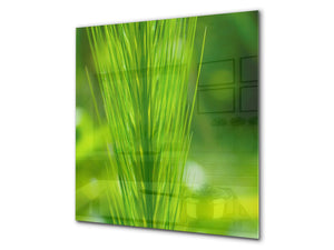 Kitchen & Bathroom splashback BS17 Green grass and cereals Series Grass Leaf Green 8