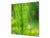 Rückwand aus gehärtetem Glas für Kochfeld – Glasauftankung – Rückwand für Küchenspüle BS17 Serie grünes Gras und Getreide: Leaf Green 8