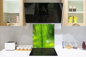 Kitchen & Bathroom splashback BS17 Green grass and cereals Series Grass Leaf Green 8