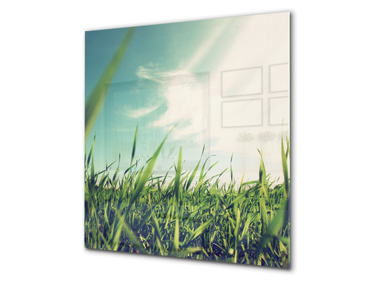 Kitchen & Bathroom splashback BS17 Green grass and cereals Series Grass Leaf Meadow