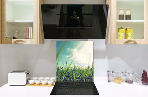 Kitchen & Bathroom splashback BS17 Green grass and cereals Series Grass Leaf Meadow