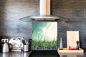 Pannello in vetro rinforzato – Paraschizzi in vetro – Paraspruzzi cucina e bagno BS17 Serie erba verde e cereali: Prato di foglie di erba