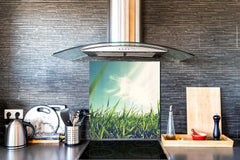 Kitchen & Bathroom splashback BS17 Green grass and cereals Series Grass Leaf Meadow