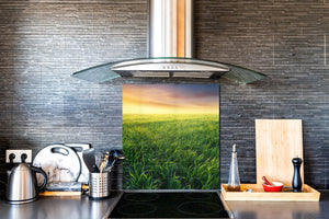 Pannello in vetro rinforzato – Paraschizzi in vetro – Paraspruzzi cucina e bagno BS17 Serie erba verde e cereali: Grass Meadow West