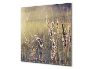 Kitchen & Bathroom splashback BS17 Green grass and cereals Series Cereal Meadow Stalk 1