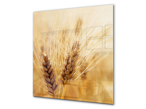 Rückwand aus gehärtetem Glas für Kochfeld – Glasauftankung – Rückwand für Küchenspüle BS17 Serie grünes Gras und Getreide: Meadow Stalk 3