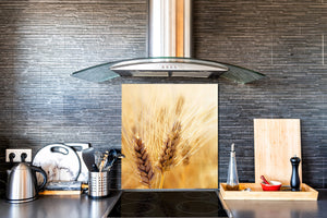 Pannello in vetro rinforzato – Paraschizzi in vetro – Paraspruzzi cucina e bagno BS17 Serie erba verde e cereali: Gambo di prato di cereali 3