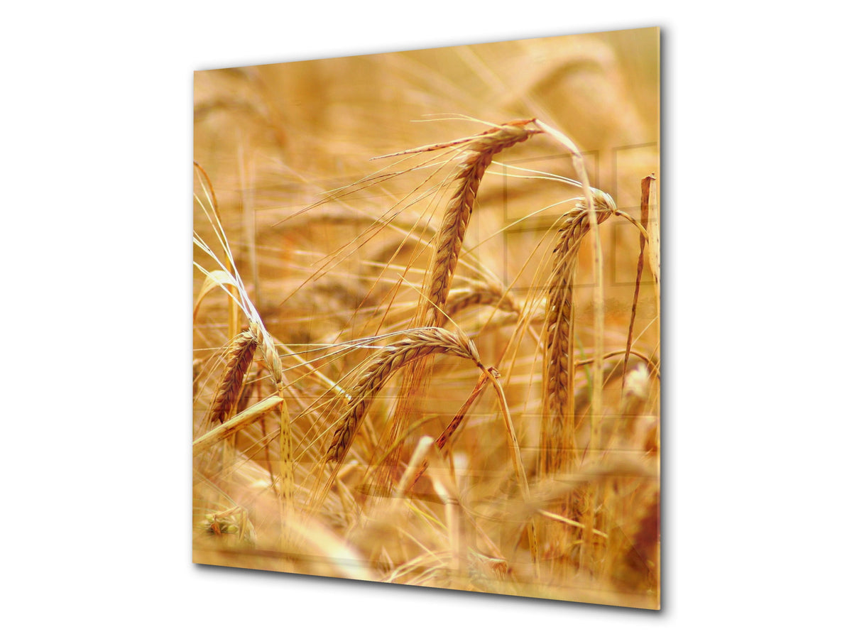 Kitchen & Bathroom splashback BS17 Green grass and cereals Series Cereal Meadow Stalk 4