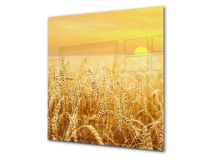 Rückwand aus gehärtetem Glas für Kochfeld – Glasauftankung – Rückwand für Küchenspüle BS17 Serie grünes Gras und Getreide: Meadow Stalk 6