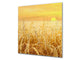 Protector antisalpicaduras baños y cocinas ; Serie hierba verde cereales BS17 Tallo de cereales 6