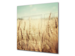 Kitchen & Bathroom splashback BS17 Green grass and cereals Series Cereal Meadow Stalk 7