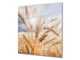 Kitchen & Bathroom splashback BS17 Green grass and cereals Series Cereal Meadow Stalk 8