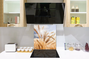 Rückwand aus gehärtetem Glas für Kochfeld – Glasauftankung – Rückwand für Küchenspüle BS17 Serie grünes Gras und Getreide: Meadow Stalk 8