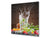 Aufkantung aus Hartglas – Glasrückwand – Rückwand für Küche und Bad BS09 Serie Wasserspritzer:  Fruit Drink 2