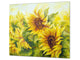 Induction Cooktop cover 60D06A: Sunflower 3