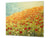 Schneidbrett aus Hartglas und schützende Arbeitsoberfläche D06 Flowers Series: Poppies 4