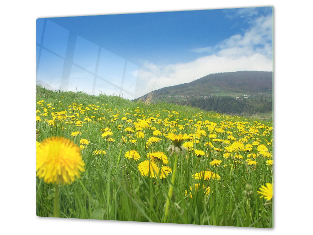 Küchenbrett aus Hartglas und Kochplattenabdeckung; D08 Nature Series:  Flowers