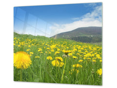 Küchenbrett aus Hartglas und Kochplattenabdeckung; D08 Nature Series:  Flowers