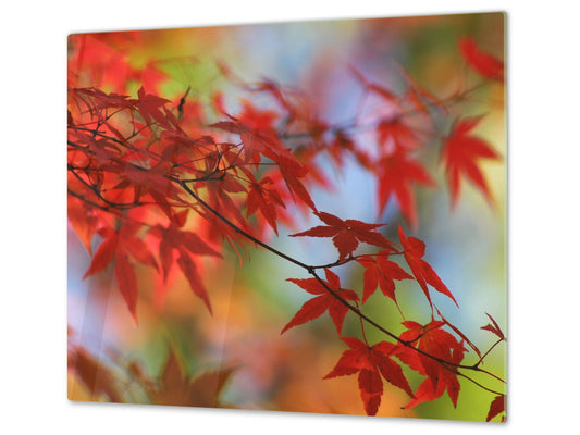 Tempered GLASS Kitchen Board – Impact & Scratch Resistant; D08 Nature Series: Leaves 12