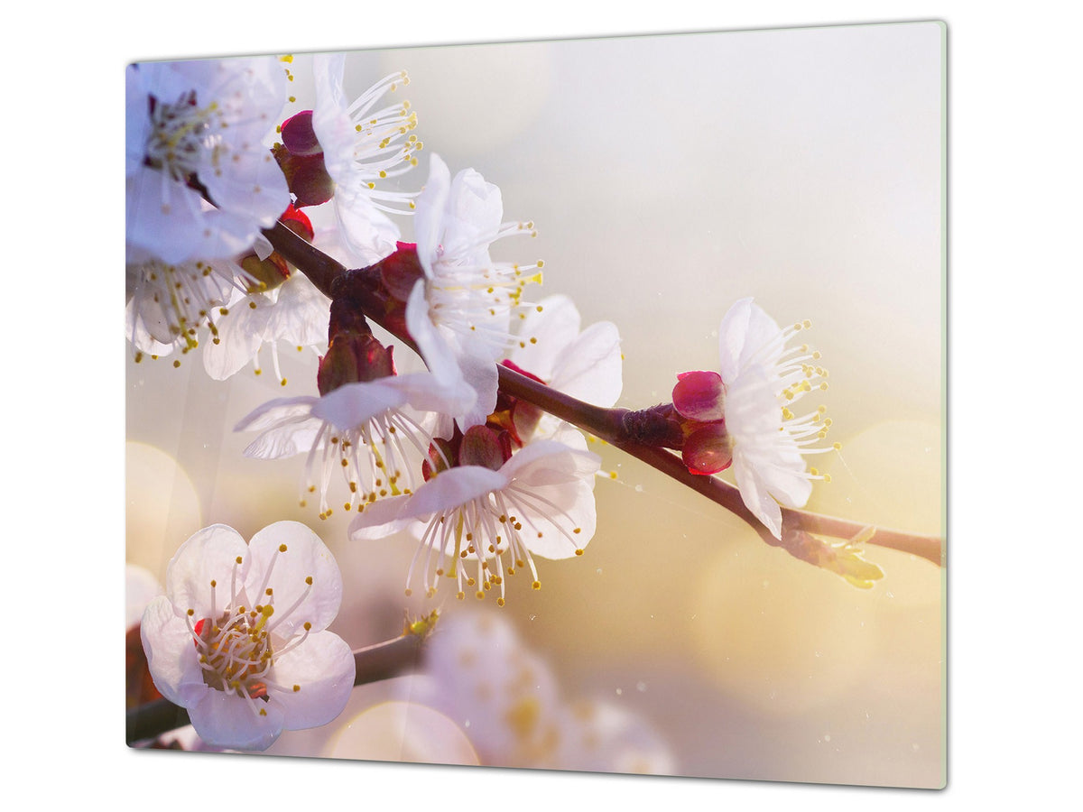 Induktionskochfeldabdeckung 60D06A: Kirschblüte 3