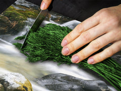 Planche à découper en verre trempé ; D08  Série Nature: Cascade 1