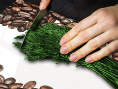 KITCHEN BOARD & Induction Cooktop Cover D05 Coffee Series: Coffee 118