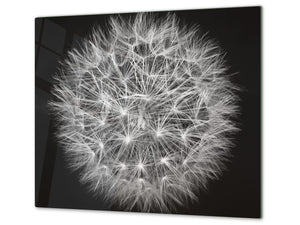 Schneidbrett aus Hartglas und schützende Arbeitsoberfläche D06 Flowers Series: Dandelion 4