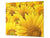 Schneidbrett aus Hartglas und schützende Arbeitsoberfläche D06 Flowers Series: Sunflower 3