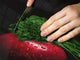 Küchenbrett aus Hartglas und Induktionskochplattenabdeckung – Schneideplatten; D07 Fruits and vegetables:  Apple 3