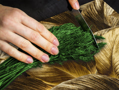 Induction Cooktop Cover Kitchen Board – Impact Resistant Glass Pastry Board – Heat resistant; MEASURES: SINGLE: 60 x 52 cm (23,62” x 20,47”); DOUBLE: 30 x 52 cm (11,81” x 20,47”); D31 Tropical Leaves Series: Precious leaves