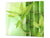 Tabla de cortar decorativa de cristal templado y cubre vitro – Dos en Uno – Resistente a golpes y arañazo; D08 Serie Naturaleza: Bambú brotes