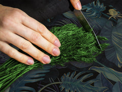 Induction Cooktop Cover Kitchen Board – Impact Resistant Glass Pastry Board – Heat resistant; MEASURES: SINGLE: 60 x 52 cm (23,62” x 20,47”); DOUBLE: 30 x 52 cm (11,81” x 20,47”); D31 Tropical Leaves Series: Leafy wallpaper