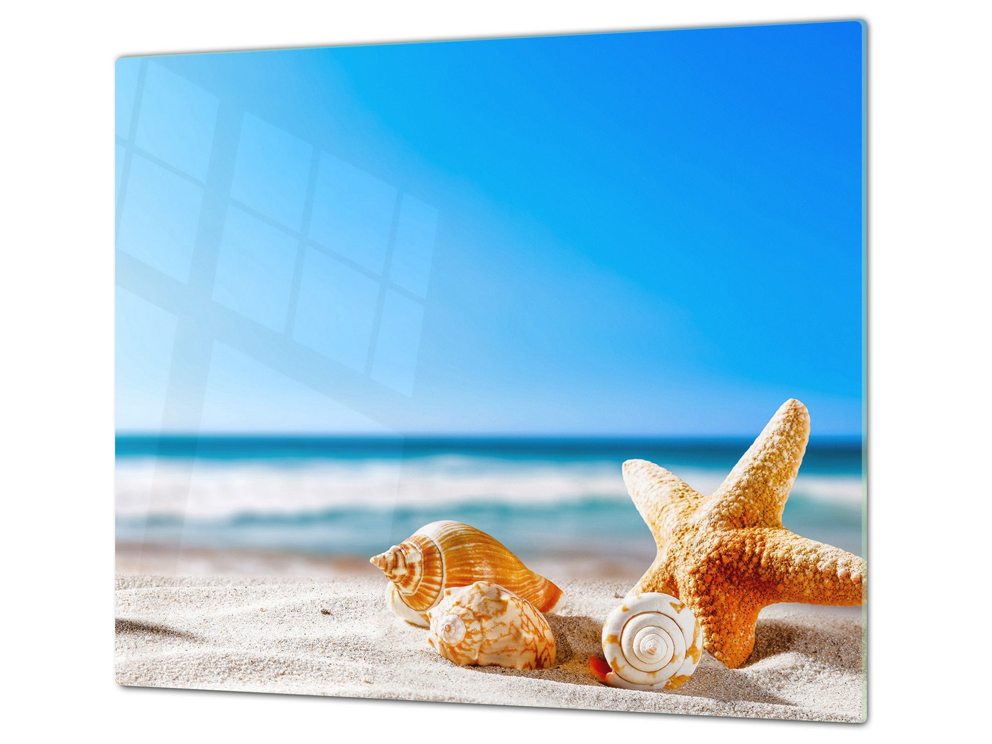 Worktop saver and Pastry Board 60D08: Shells on the beach 2