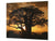 Tempered GLASS Kitchen Board – Impact & Scratch Resistant; D08 Nature Series: Tree 4