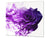 Worktop Saver 60D06B: Purple rose