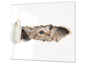 Tempered GLASS Cutting Board 60D01: Kitten 2