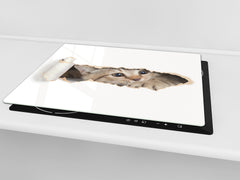 Tabla de cortar de vidrio templado 60D01: Gatito 2