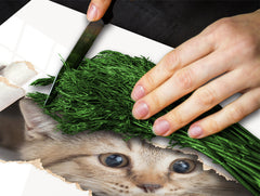 Tempered GLASS Cutting Board 60D01: Kitten 2