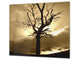 Tempered GLASS Kitchen Board – Impact & Scratch Resistant; D08 Nature Series: Tree 1