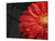 GIGANTE Copri-piano cottura a induzione; Serie di fiori DD06A: Fiore 16