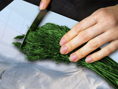 Tempered GLASS Cutting Board 60D01: White horse