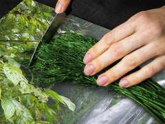 Planche à découper en verre trempé ; D08  Série Nature: Cascade 4