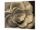 GIGANTE Copri-piano cottura a induzione; Serie di fiori DD06A: Fiore 15