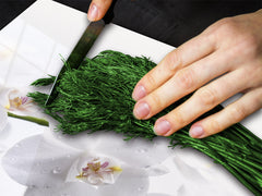 Glass Cutting Board and Worktop Saver D06 Flowers Series: Orchid 1