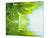 Küchenbrett aus Hartglas und Kochplattenabdeckung; D08 Nature Series:  Leaves 4
