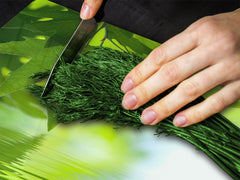 Planche à découper en verre trempé ; D08  Série Nature: Laisse 4