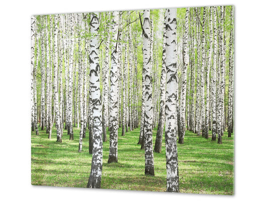 Tempered GLASS Kitchen Board – Impact & Scratch Resistant; D08 Nature Series: Trees 3