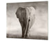 Tempered GLASS Cutting Board 60D01: Elephant 1